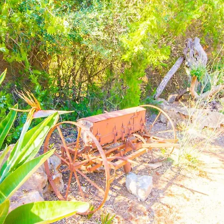 Bonita Y Agradable Propiedad