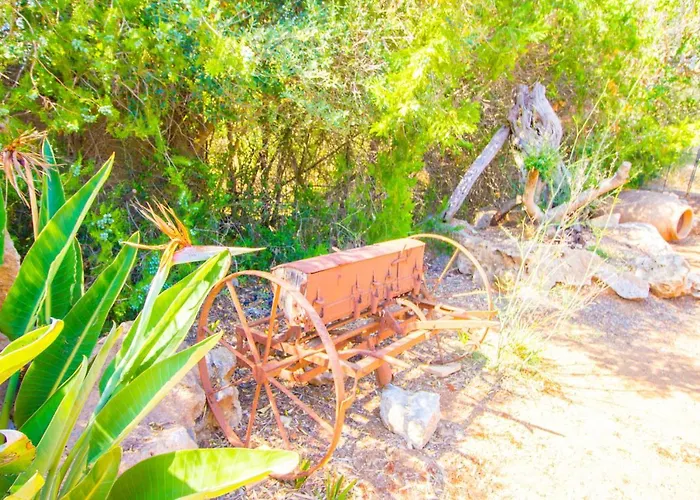 Bonita Y Agradable Propiedad